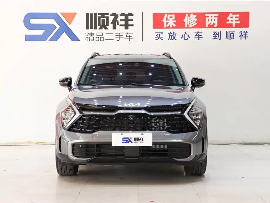 Kia Lion Platinum