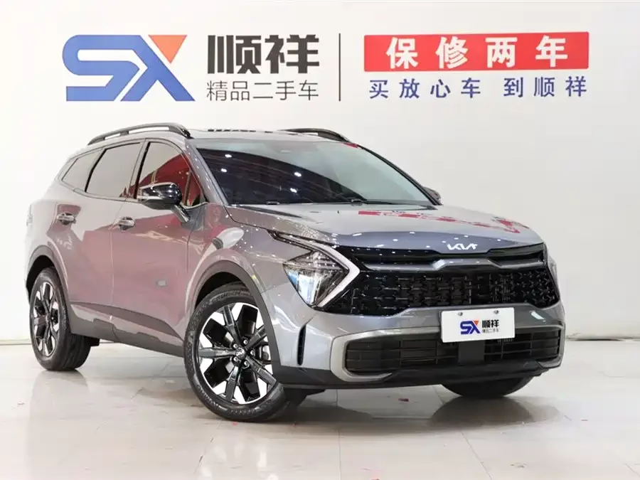 Kia Lion Platinum