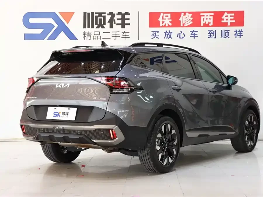 Kia Lion Platinum