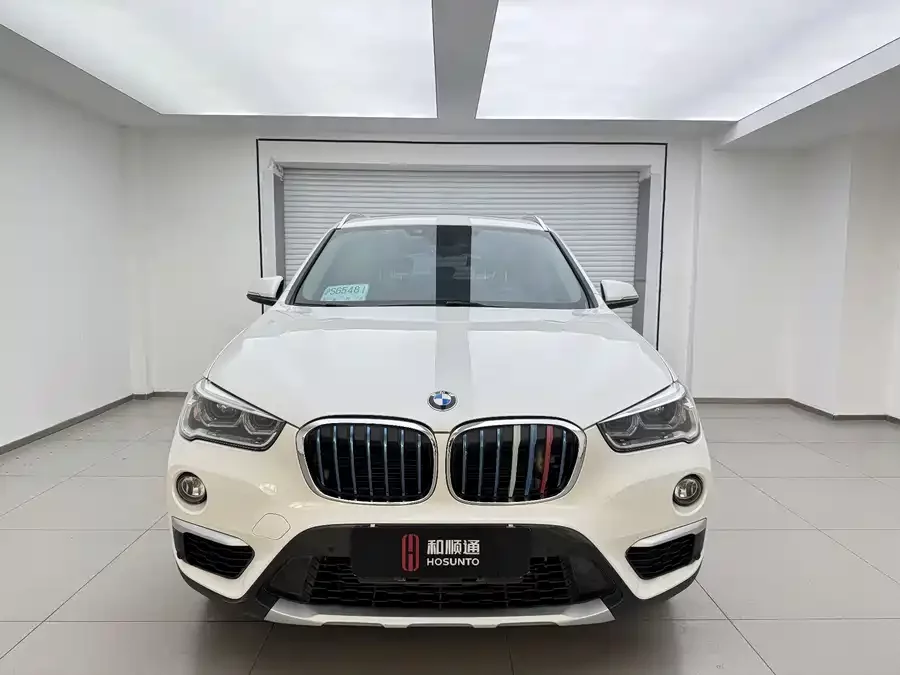 BMW X1 New Energy