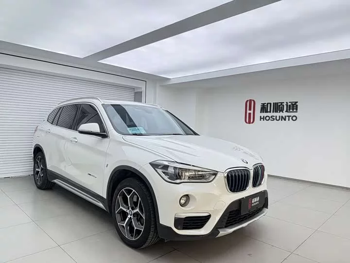 BMW X1 New Energy