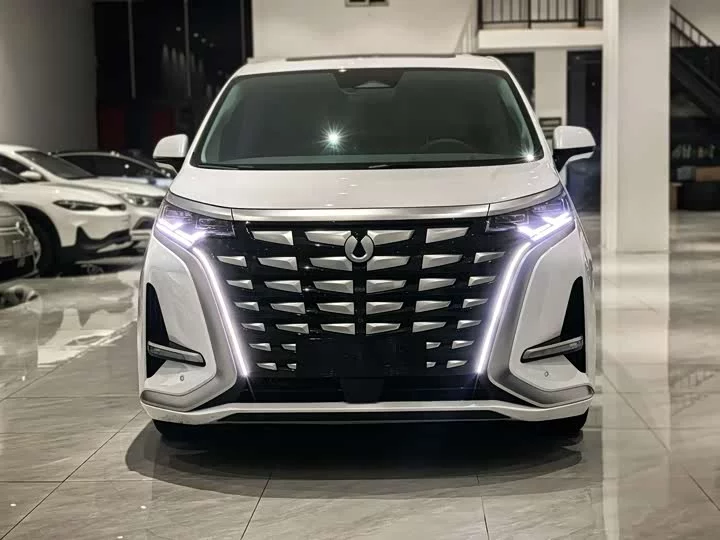 Denza D9
