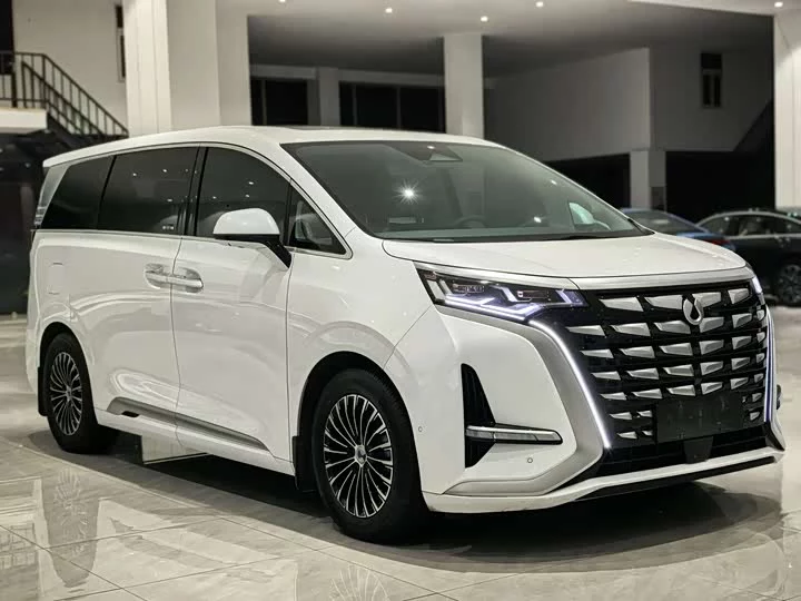 Denza D9