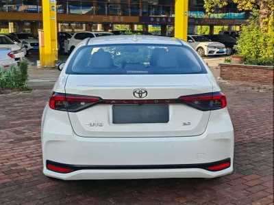 Toyota Asiatic lion