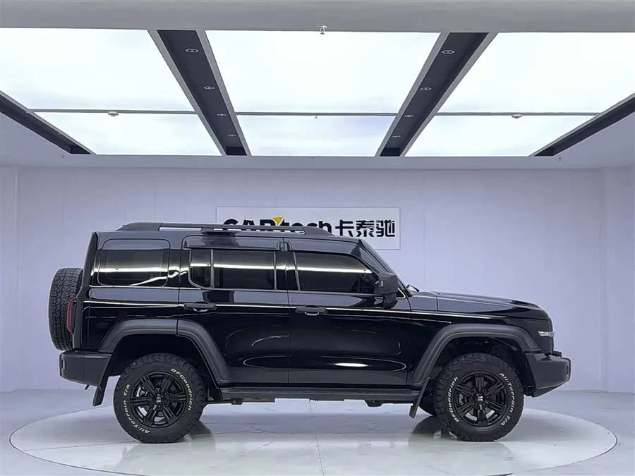 TANK 300