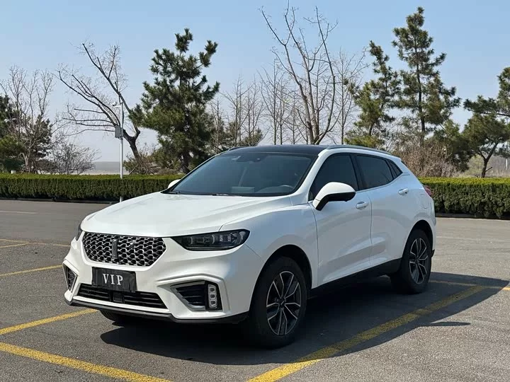 Wey VV5