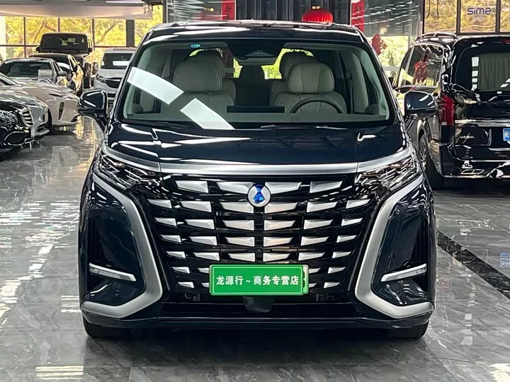 Denza D9