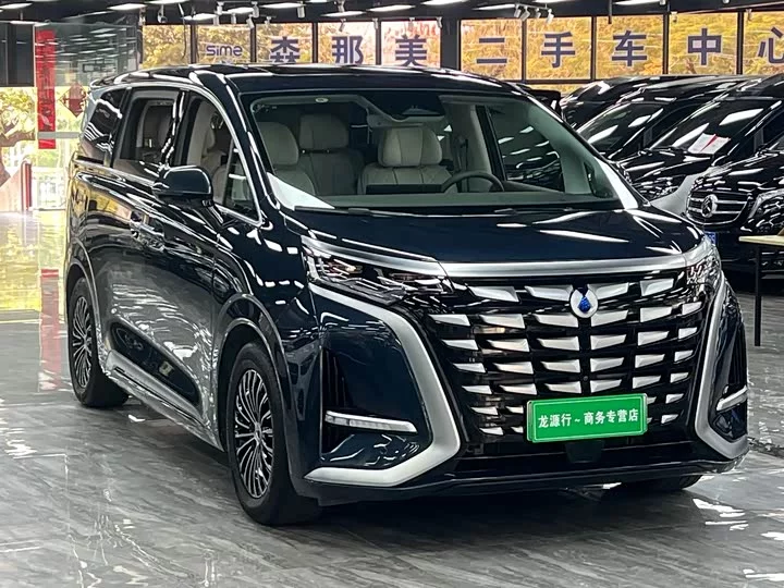 Denza D9
