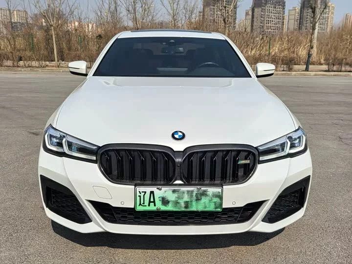 BMW 5 Series New Energy