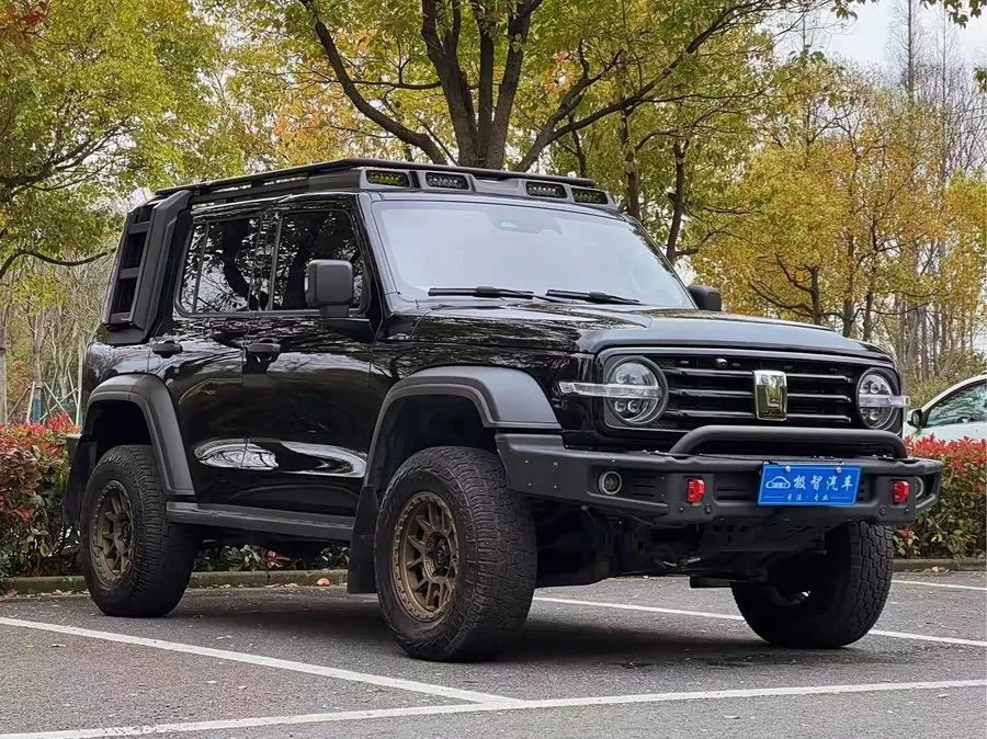 TANK 300