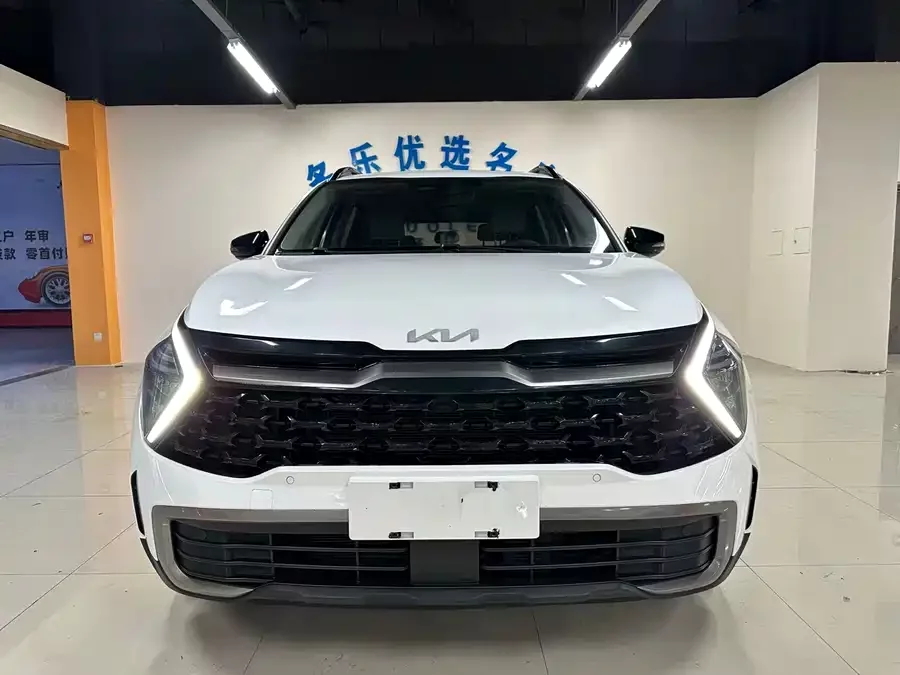 Kia Lion Platinum