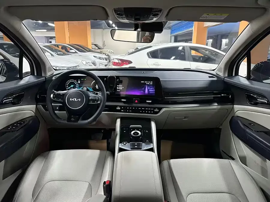 Kia Lion Platinum
