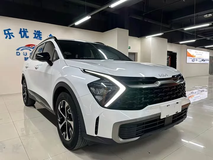 kia Lion Platinum Expands the Boundary