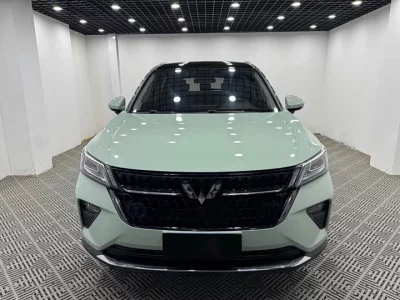 Wuling Star