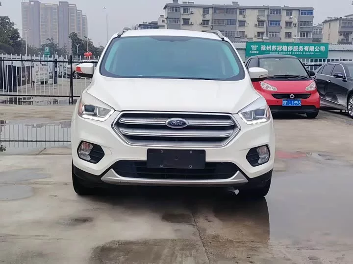 Ford wing tiger
