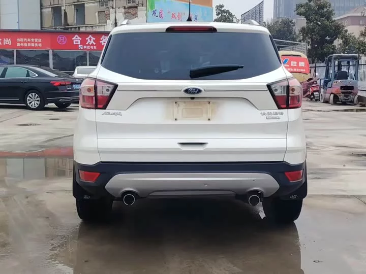 Ford wing tiger