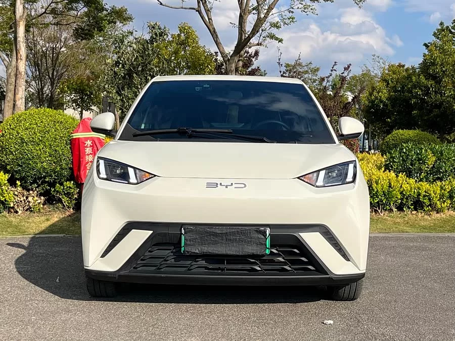 BYD Seagull