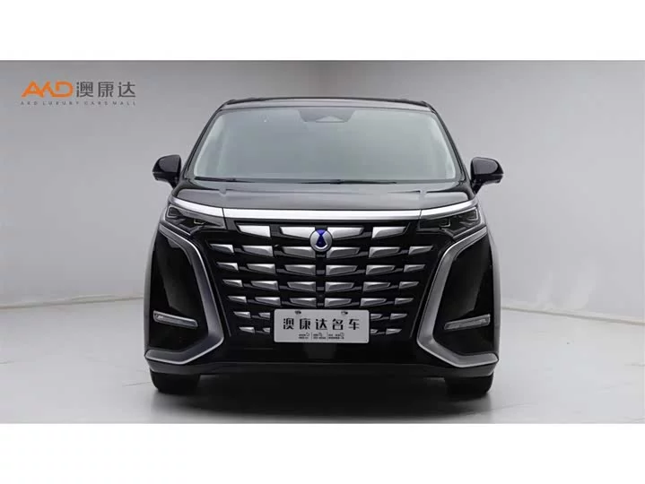 Denza D9