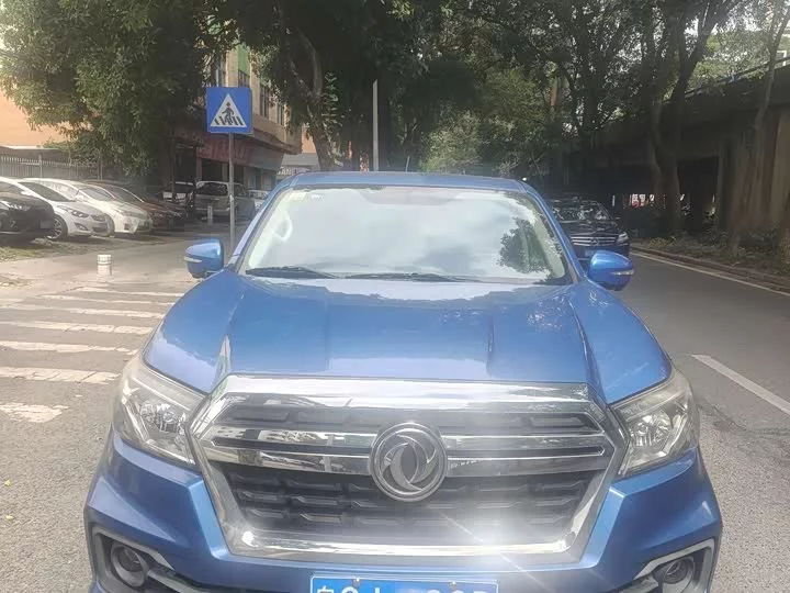 Dongfeng Ruiqi