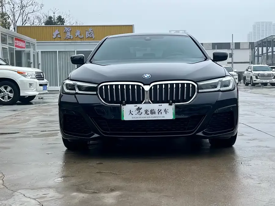 BMW 5 Series New Energy