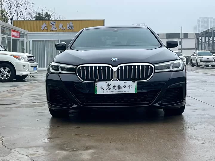 BMW 5 Series New Energy