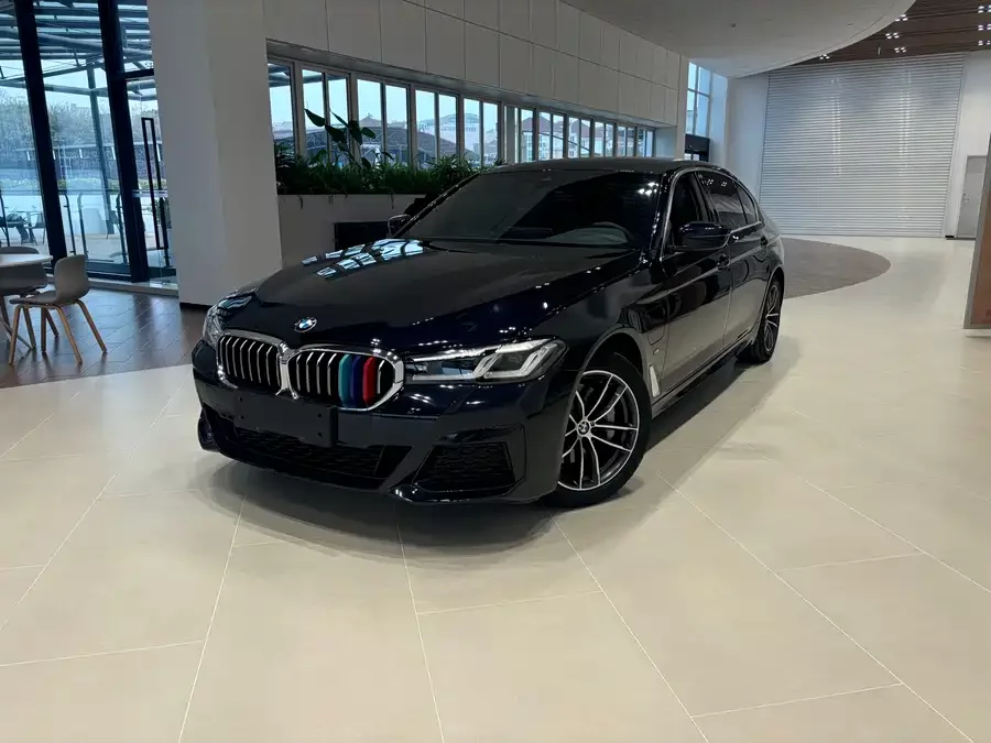 BMW 5 Series New Energy