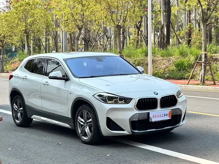 BMW X2