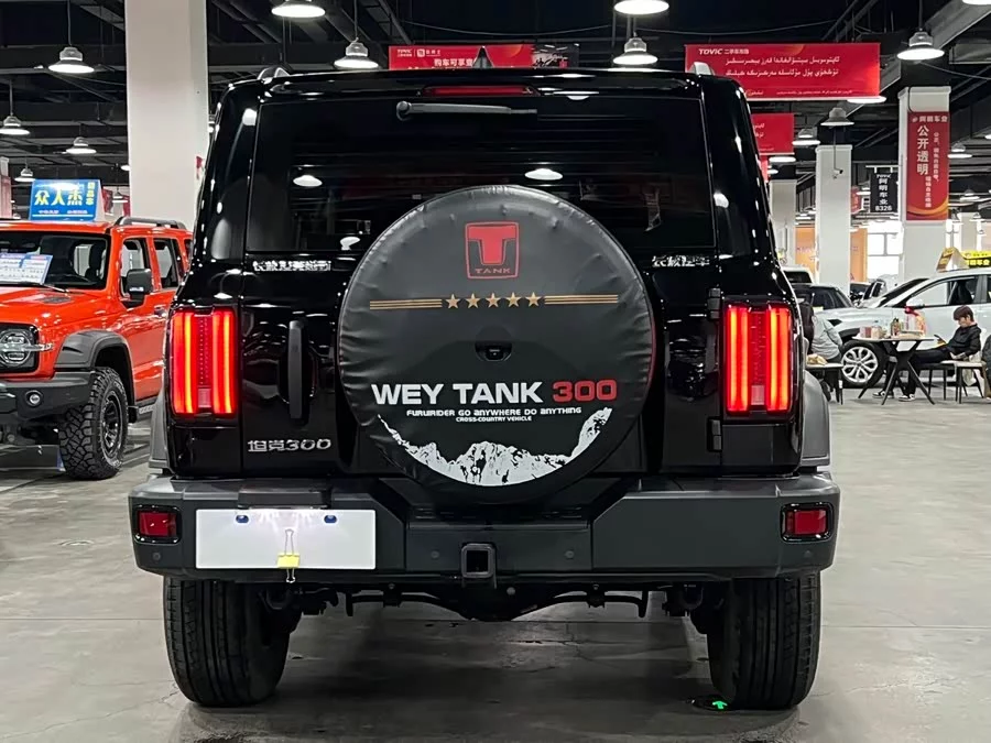 TANK 300