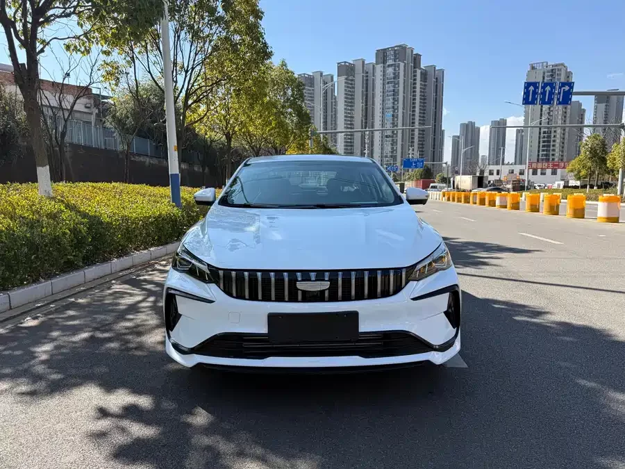 Geely Binrui