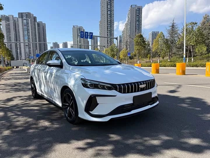 Geely Binrui