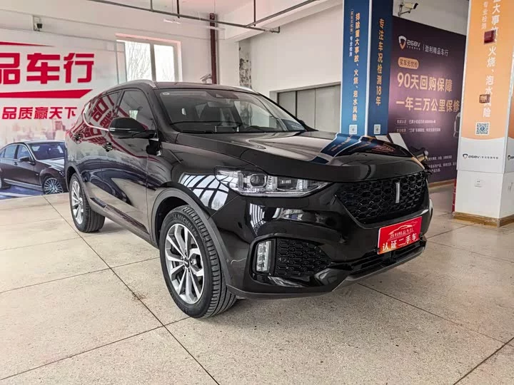 Wey VV6
