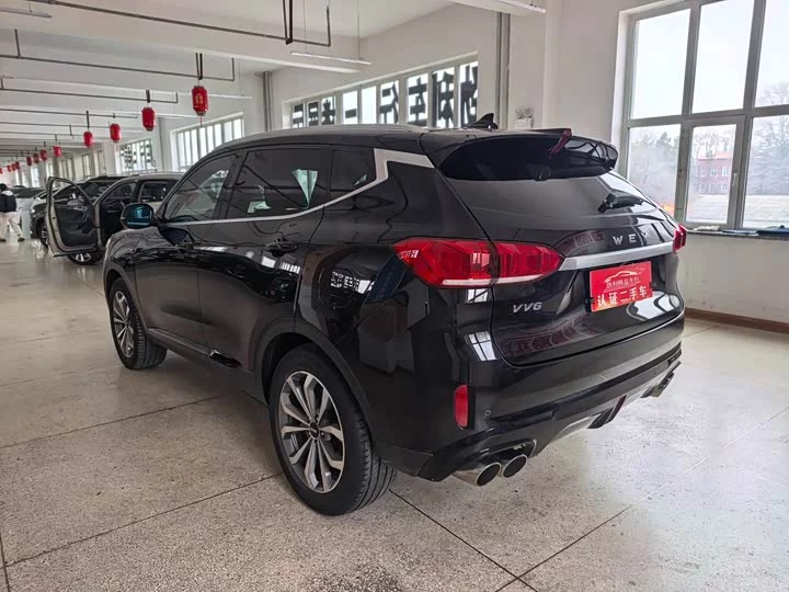 Wey VV6