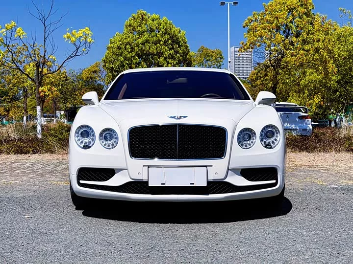 Bentley galloping
