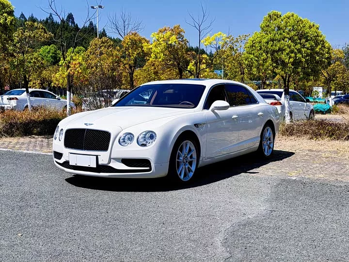 Bentley galloping