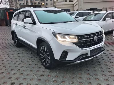 Forthing Fengxing T5L