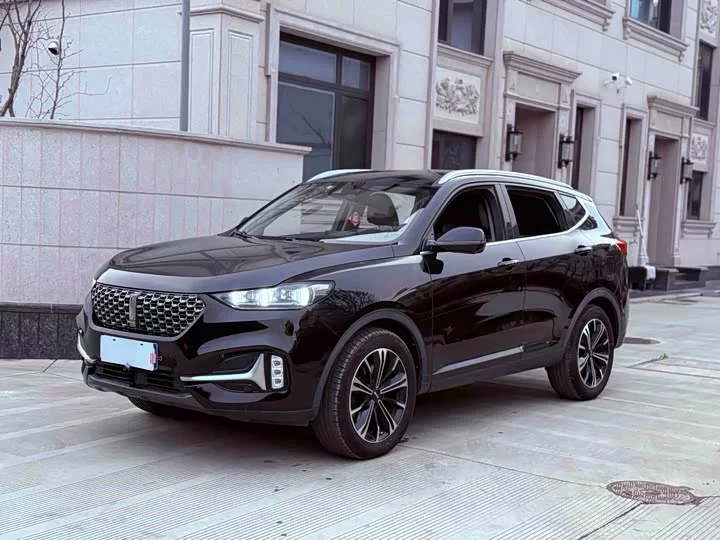 Wey VV6