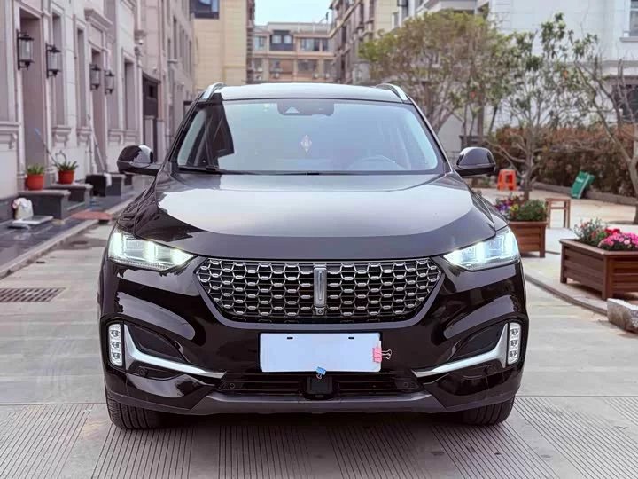 Wey VV6