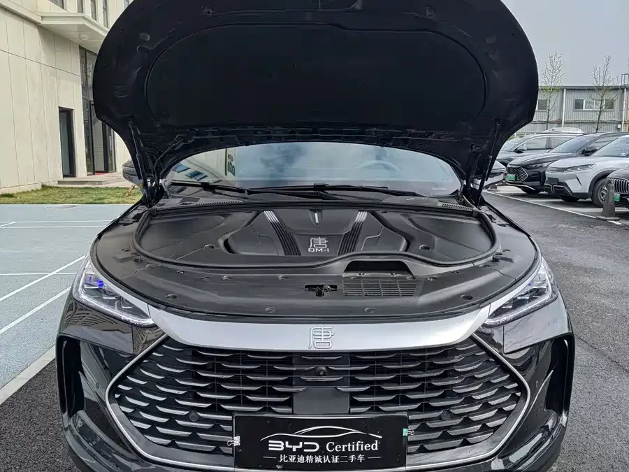 BYD Tang New Energy