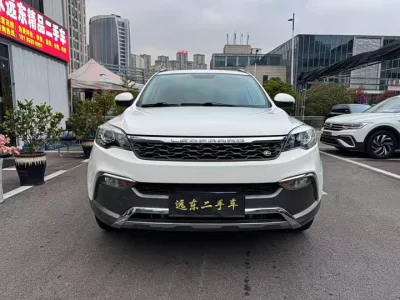 Leopaard Cheetah CS10