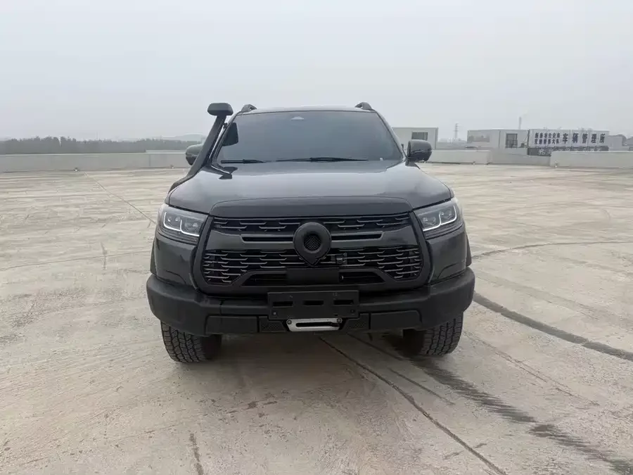 Great Wall gun