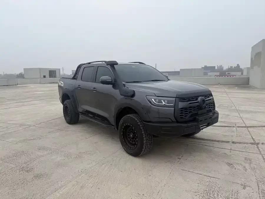 Great Wall gun