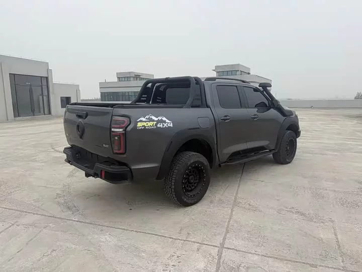 Great Wall gun