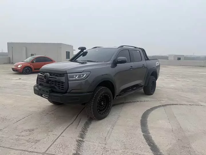 Great Wall gun