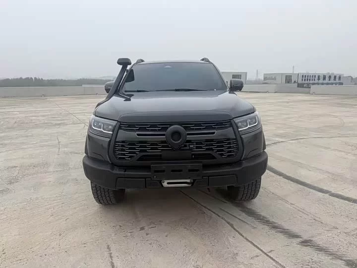 Great Wall gun