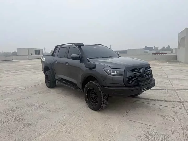 Great Wall gun