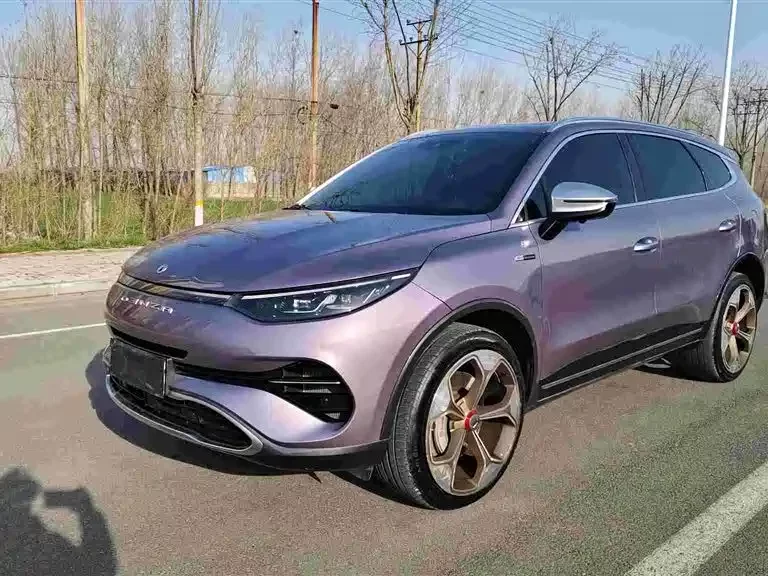 BYD X