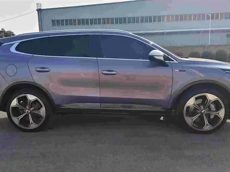 BYD X