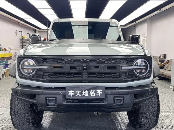 Ford Wild Horse