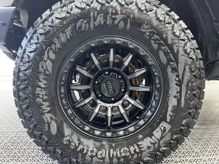 Ford Wild Horse