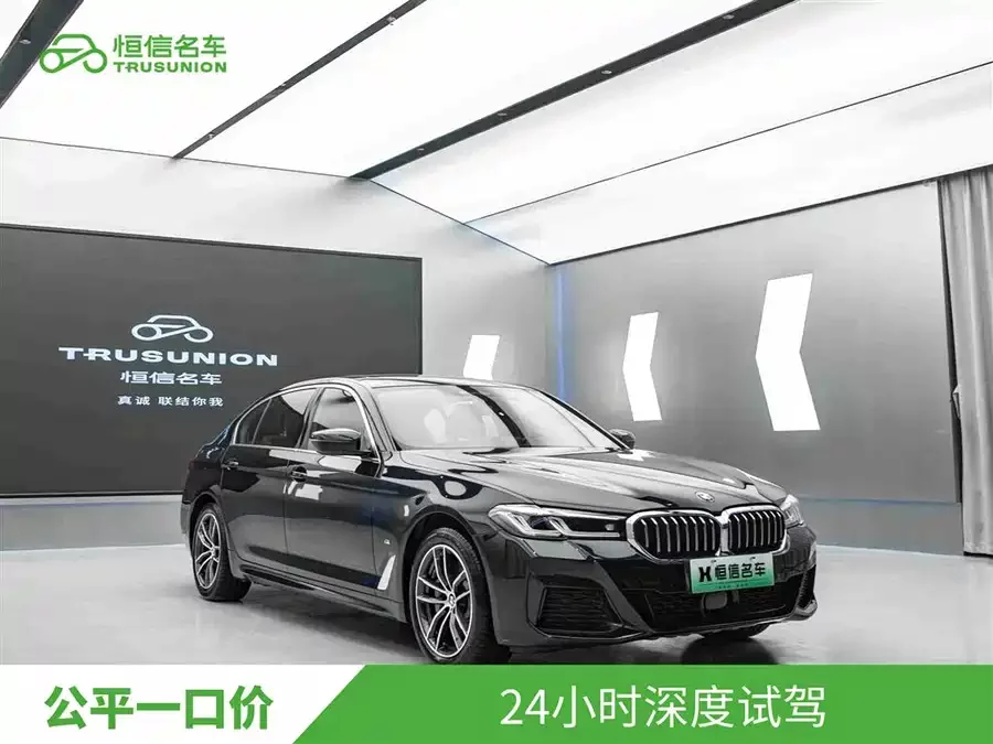 BMW 5 Series New Energy